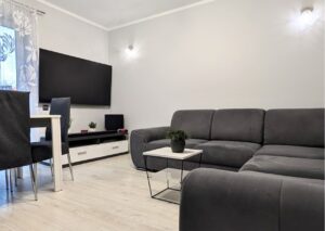 nowoczesny salon z kanapą czapury
